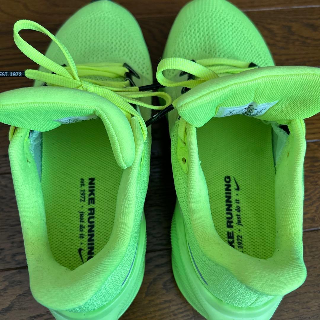 23cm ZOOM PEGASUS 41 NIKEペガサス41