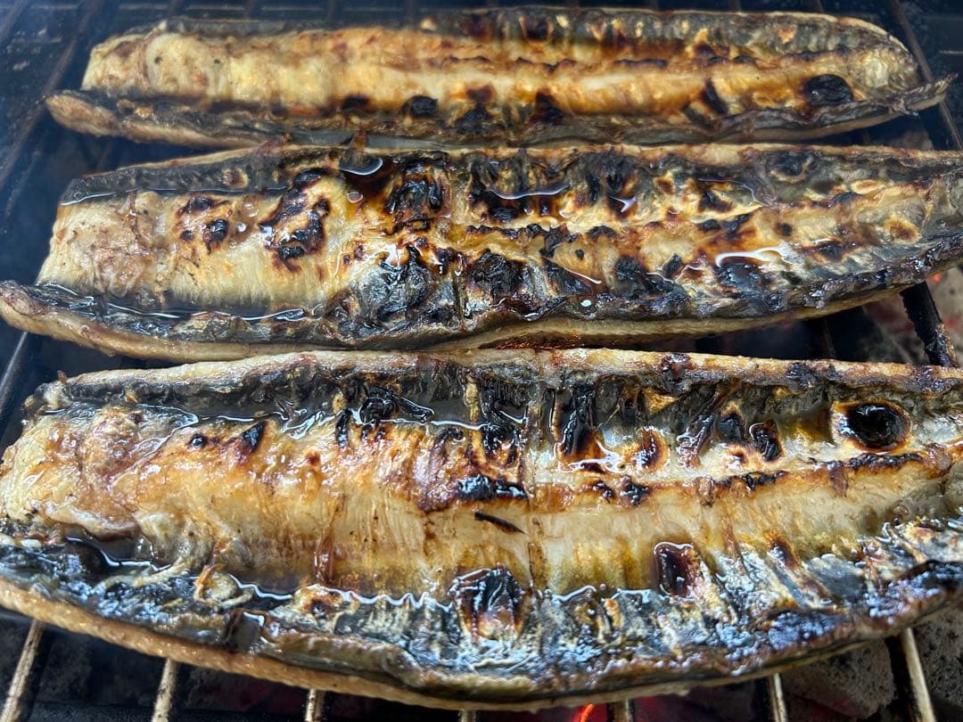 ふぁ〜ふぁ様　特大10尾