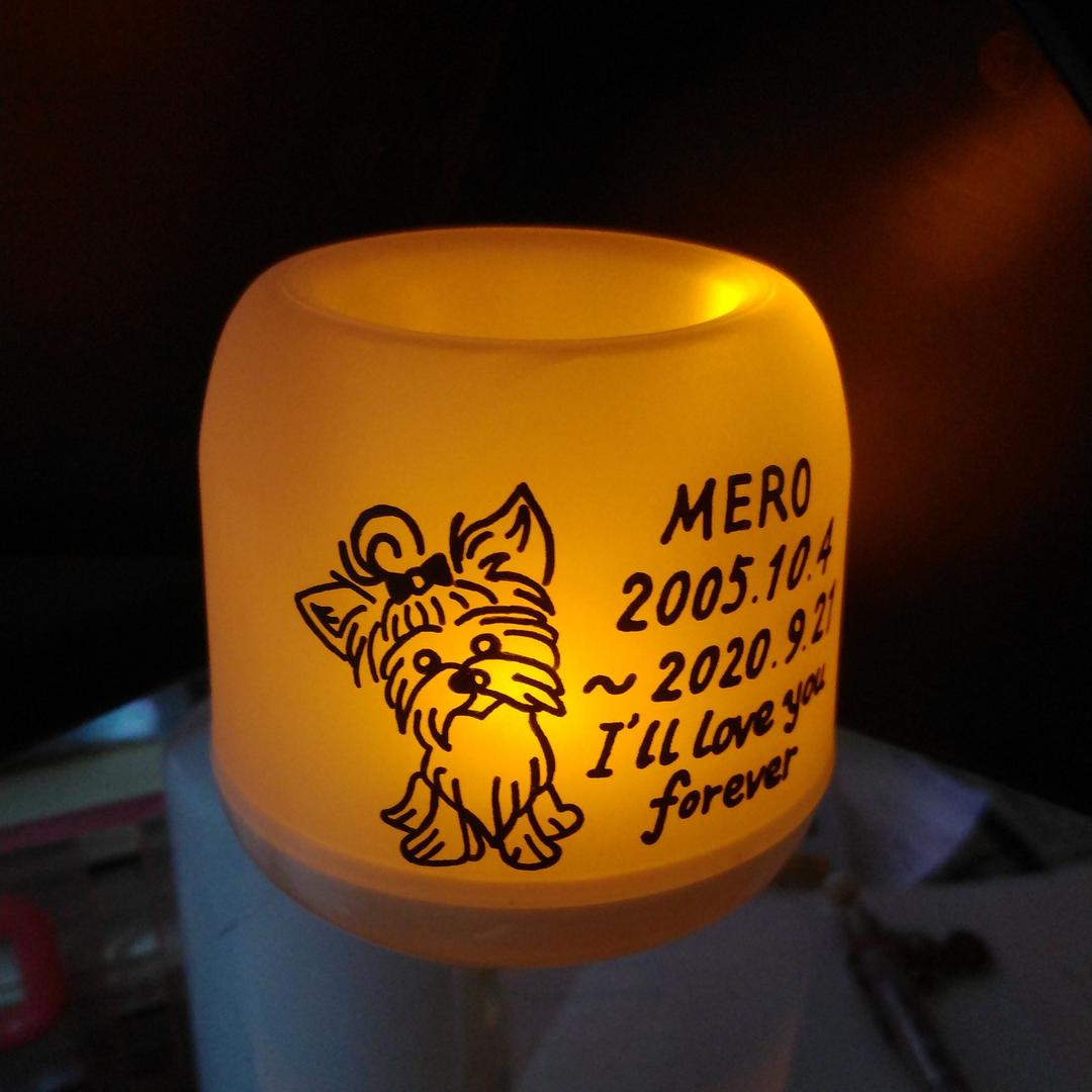 確認用♥タレテルゥ様♥