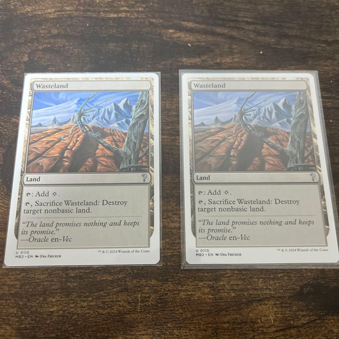 不毛の大地/Wasteland 2枚セット