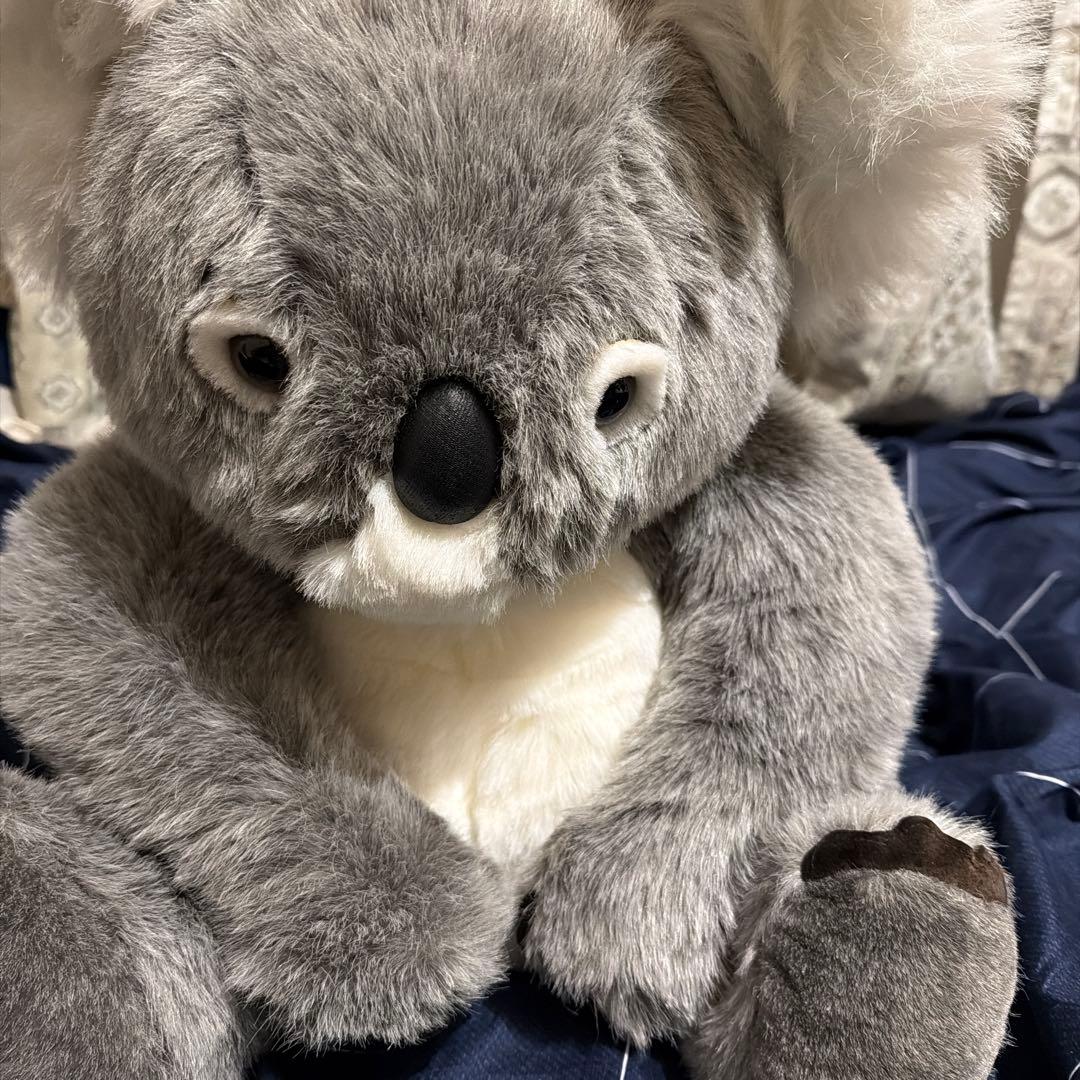 コアラ ぬいぐるみ