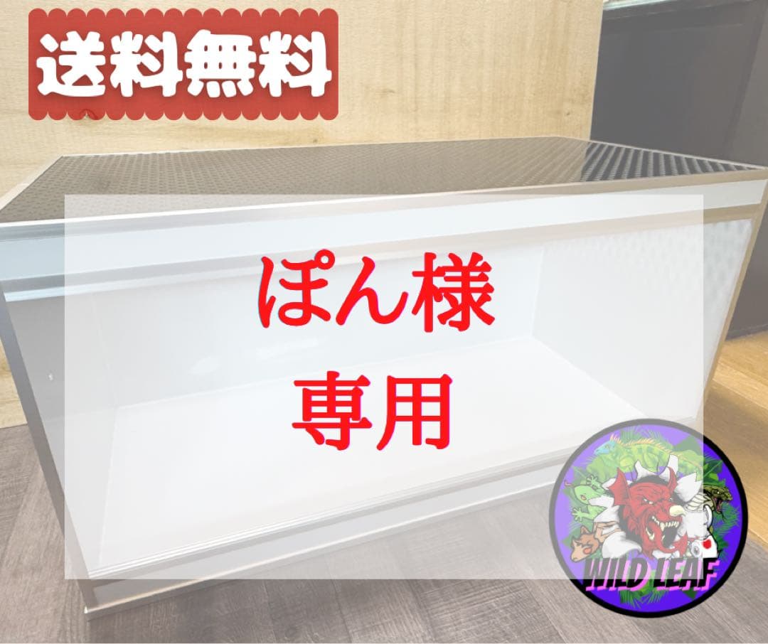 ぽん【30×45×45ケージ】