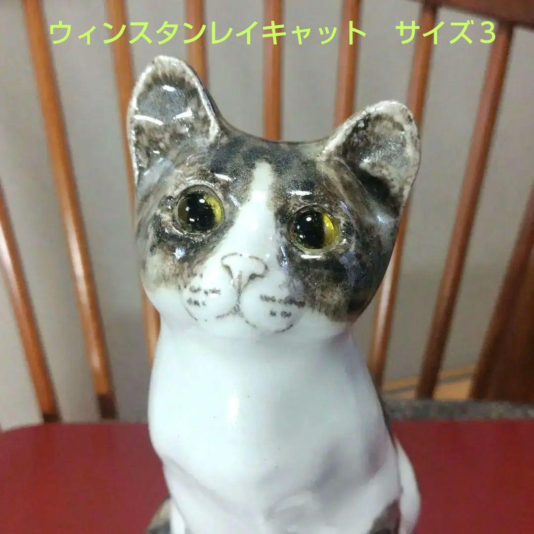 ウィンスタンレイキャット（ケンジントンキャット）ハチワレの子猫、サイズ3