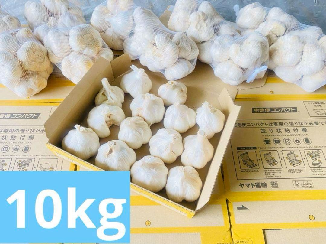 青森産 乾燥にんにく Lサイズ　福地ホワイト六片 ニンニク　黒にんにく　おすすめ