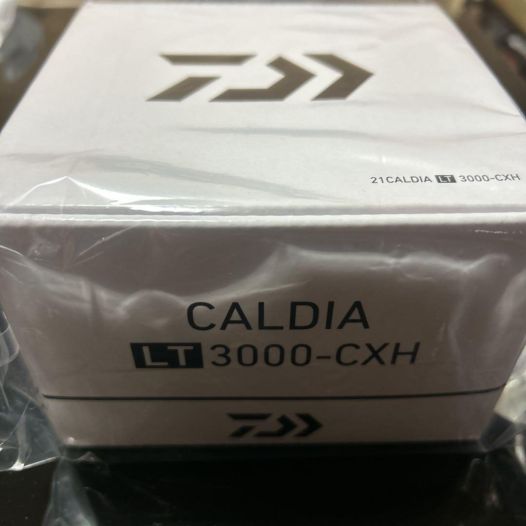 即日発送【新品未開封】ダイワ21 カルディア LT3000-CXH