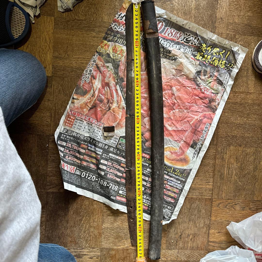 合法サイズの残欠