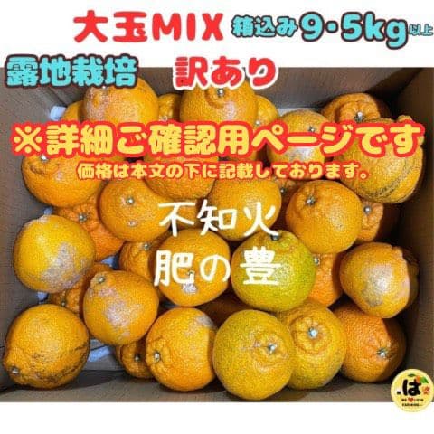 ※確認用　訳あり　大玉MIX箱込み9.5kg以上【露地栽培　不知火　デコポン】