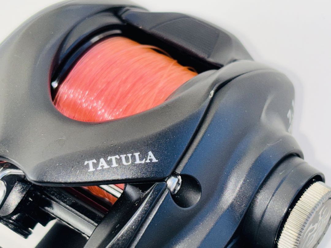 DAIWA 24 TATULA TW100HL ベイトリール 7.1 左