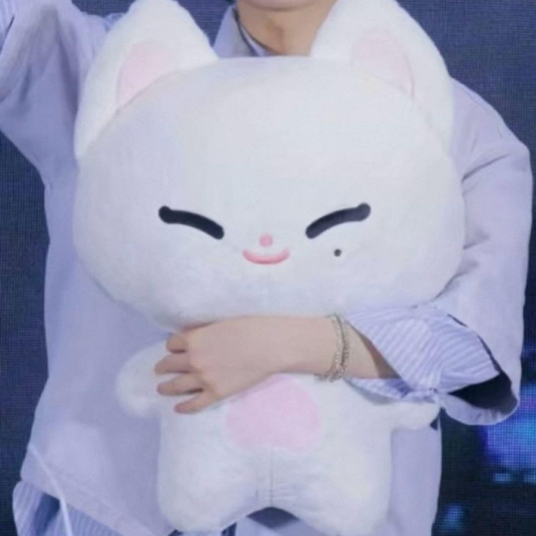 50cm ENHYPEN ソヌ SUNOO ぬいぐるみ本体