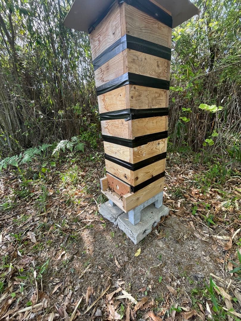 日本蜜蜂重箱式巣箱の巣箱三箱！ハニーズハウス用！超訳あり特価！ニセット！送料無料