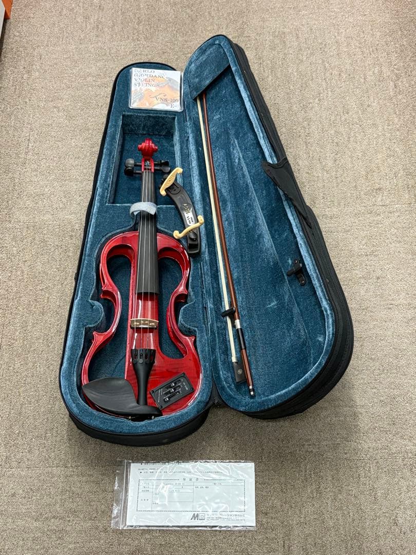 Carlo Giordano カルロジョルダーノ EV-202 エレキバイオリン
