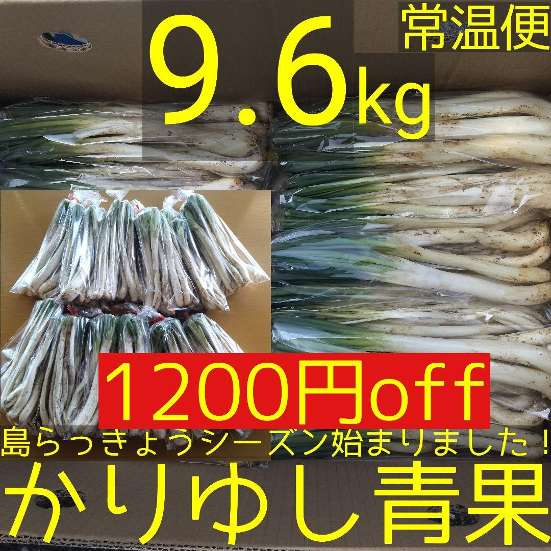 【1200円off】〈新物〉沖縄県産 島らっきょう 約9.6kg【常温便】①