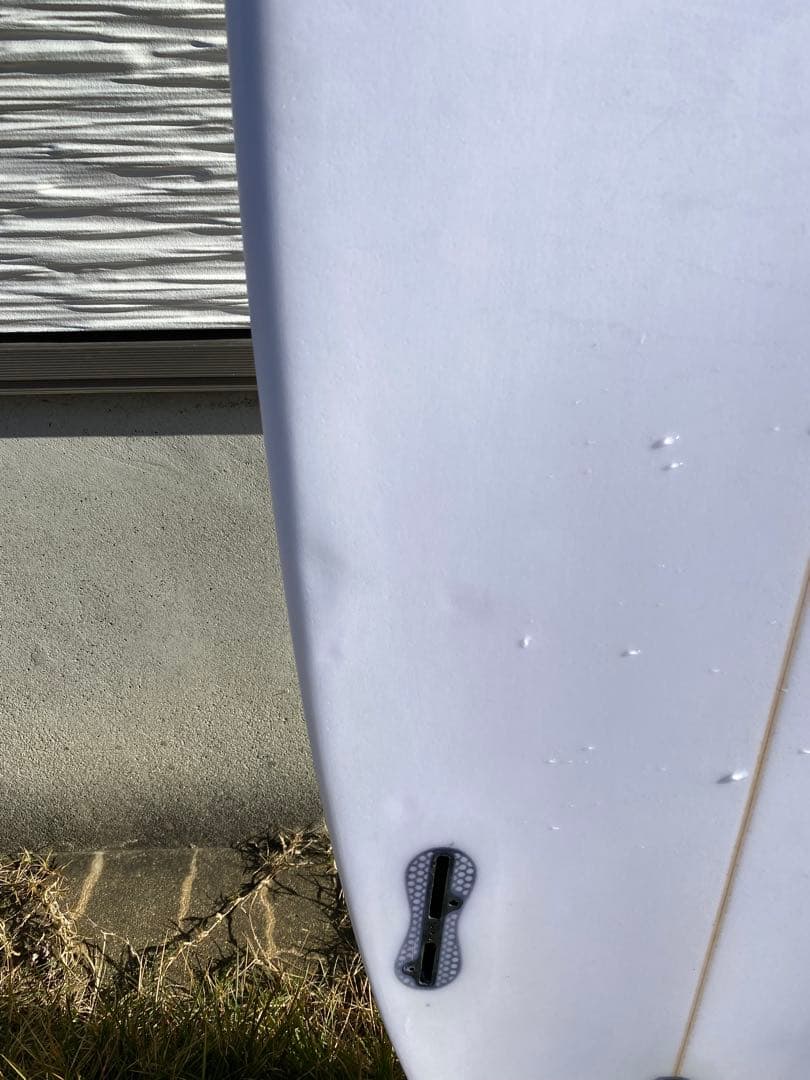 【手渡し】LSD チャビーチェダー