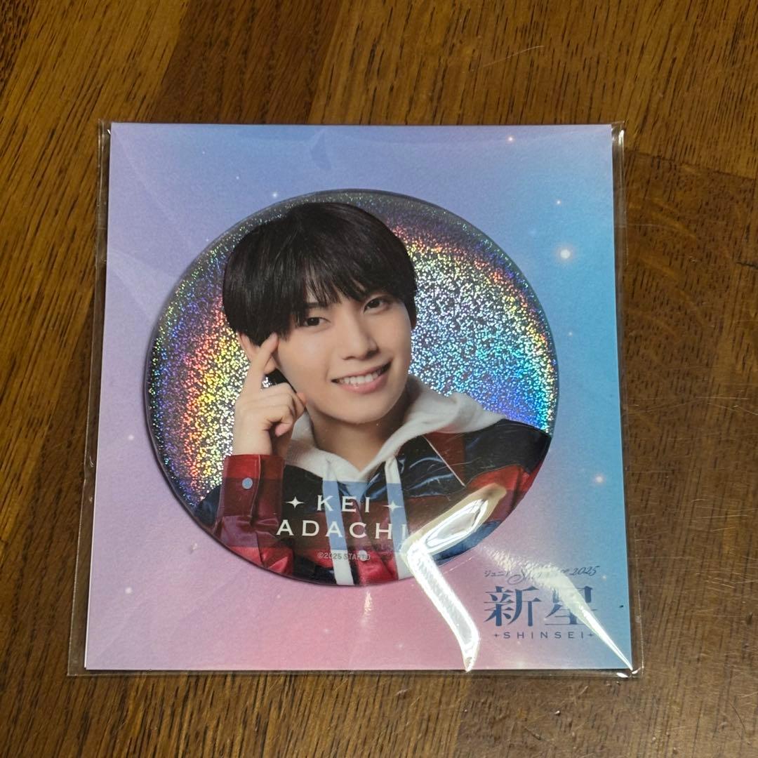 ぽん　阿達慶　缶バッジ