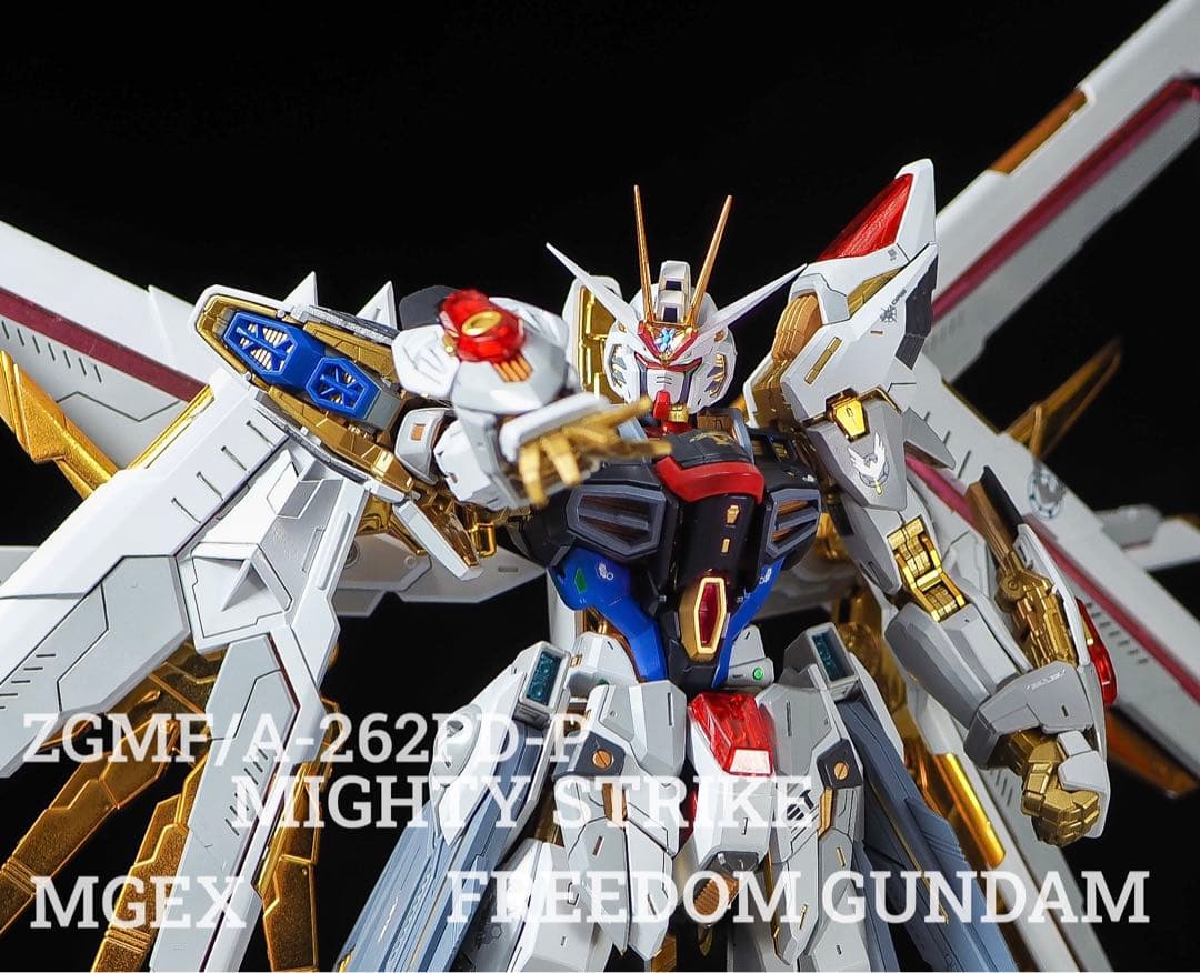 MGEX ストライクフリーダムガンダム　全塗装　完成品　筋彫り　塗り分け