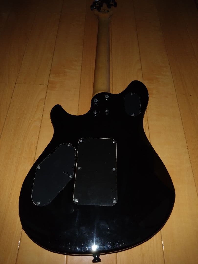 Wolfgang Standard ヴァンヘイレン D-Tune付き