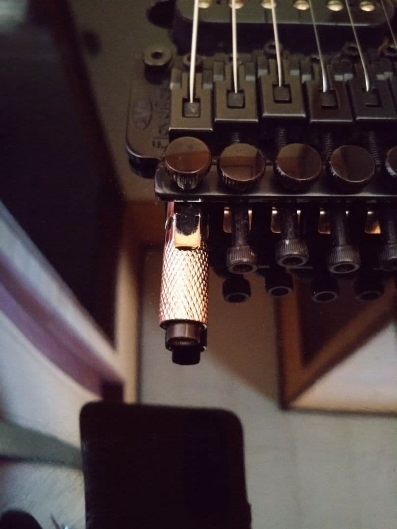 Wolfgang Standard ヴァンヘイレン D-Tune付き