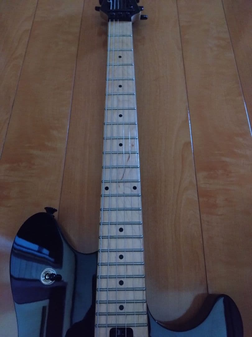 Wolfgang Standard ヴァンヘイレン D-Tune付き