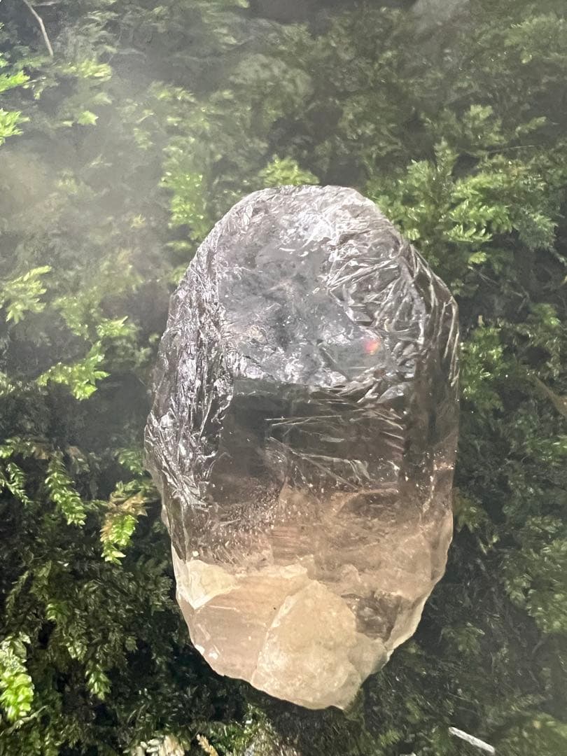 龍脈の精髄　宮崎産虹入り成長干渉煙水晶「祓いと覚醒、希望の光」【保護猫活動支援】