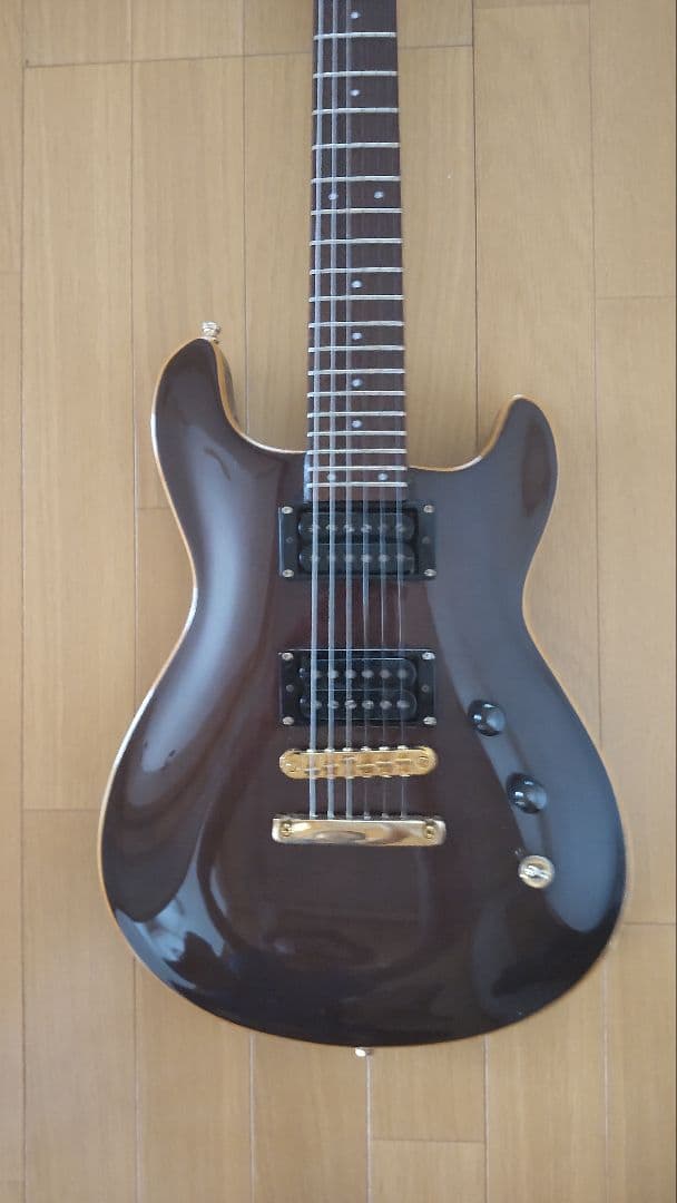 FERNANDES　APG-100 24F【レア】