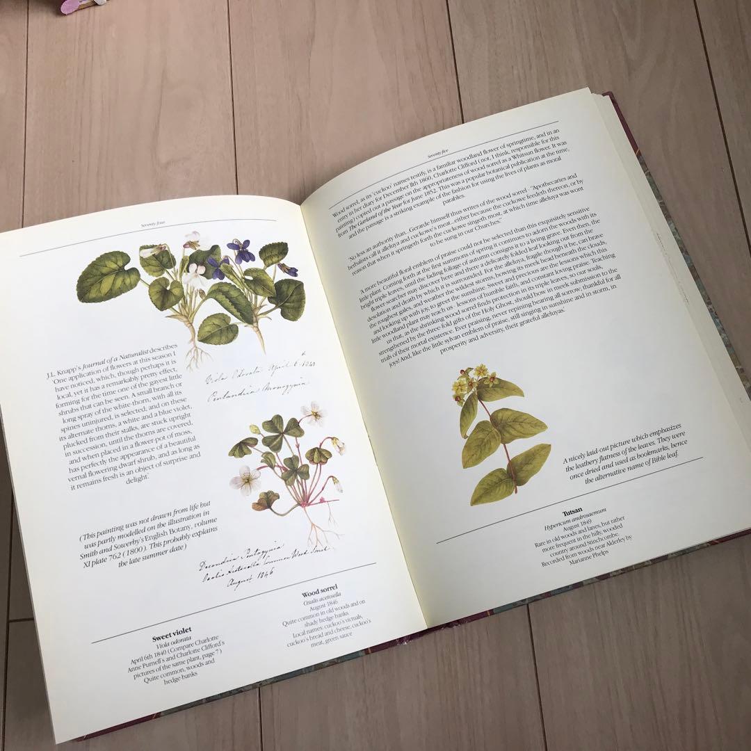 19世紀初頭の美しい植物画コレクション　ヴィンテージ本　古書 植物図鑑