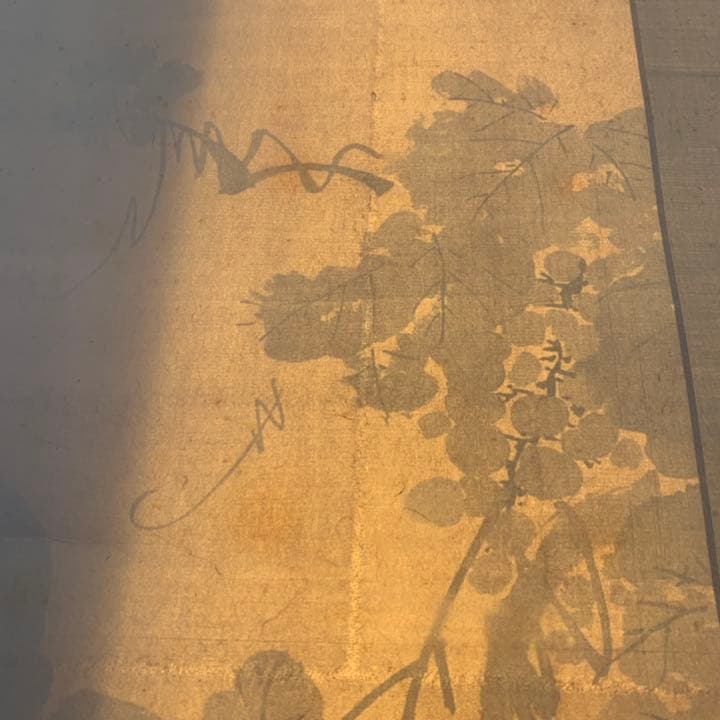 江戸時代 中〜後期 大名 文人大名 増山正賢 増山 雪斎 掛軸 書画