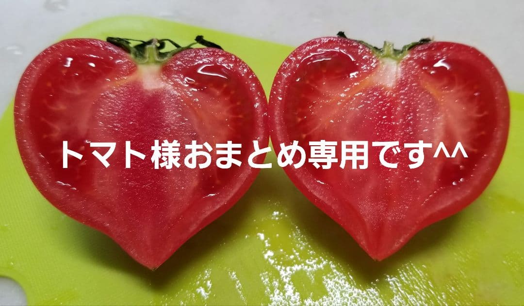 トマト様おまとめ専用です^^