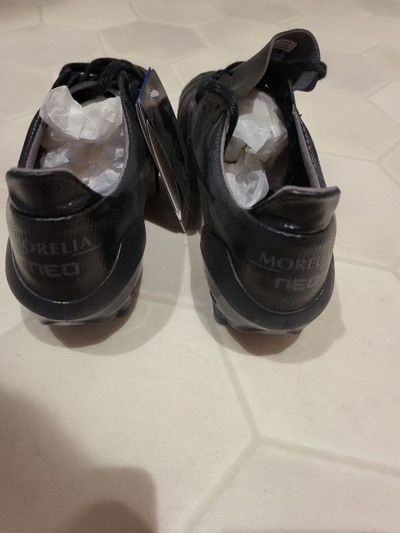 モレリアネオⅡβ