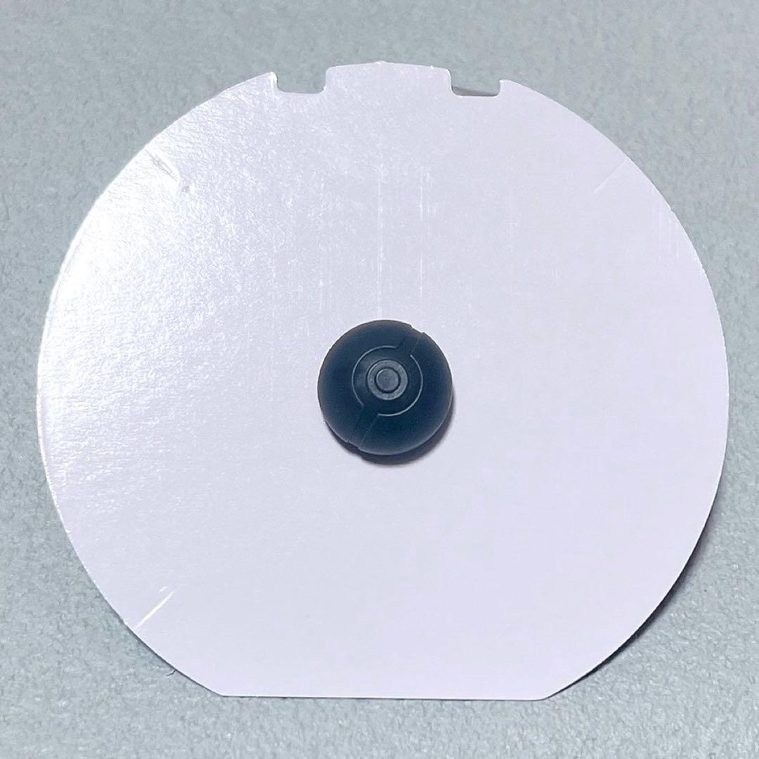 ポケパーク ピンバッジ ライチュウ