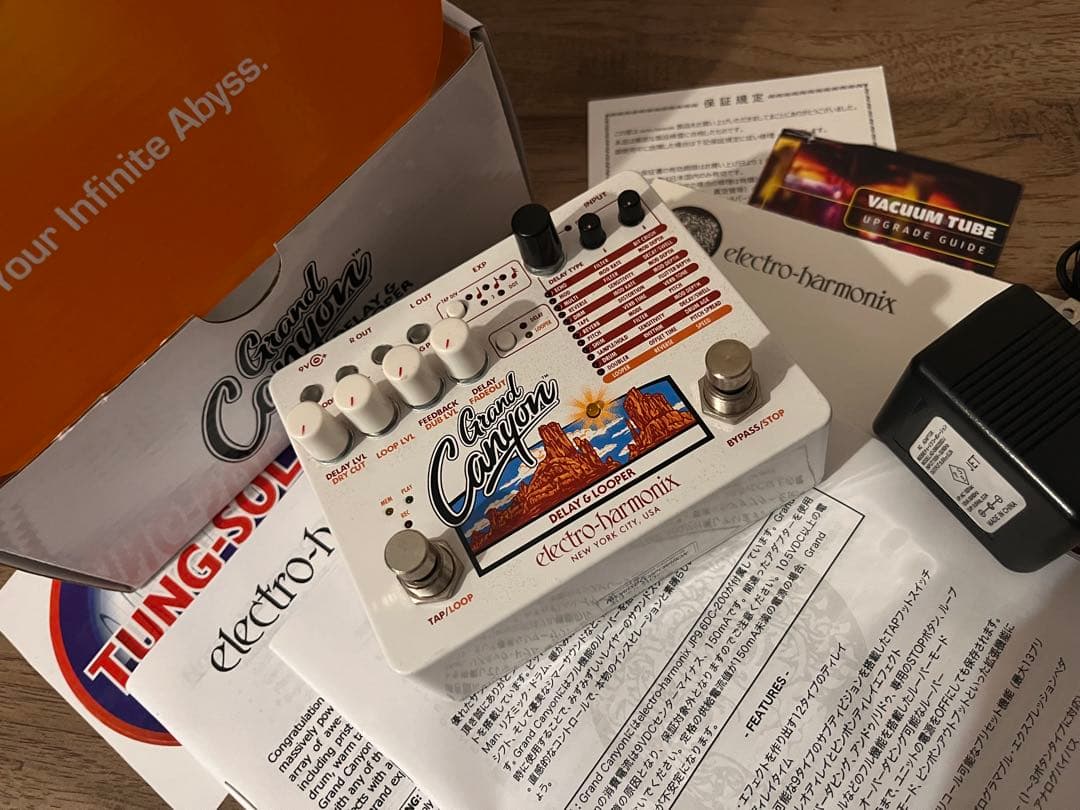 Electro-Harmonix Grand Canyon ディレイ &ルーパー