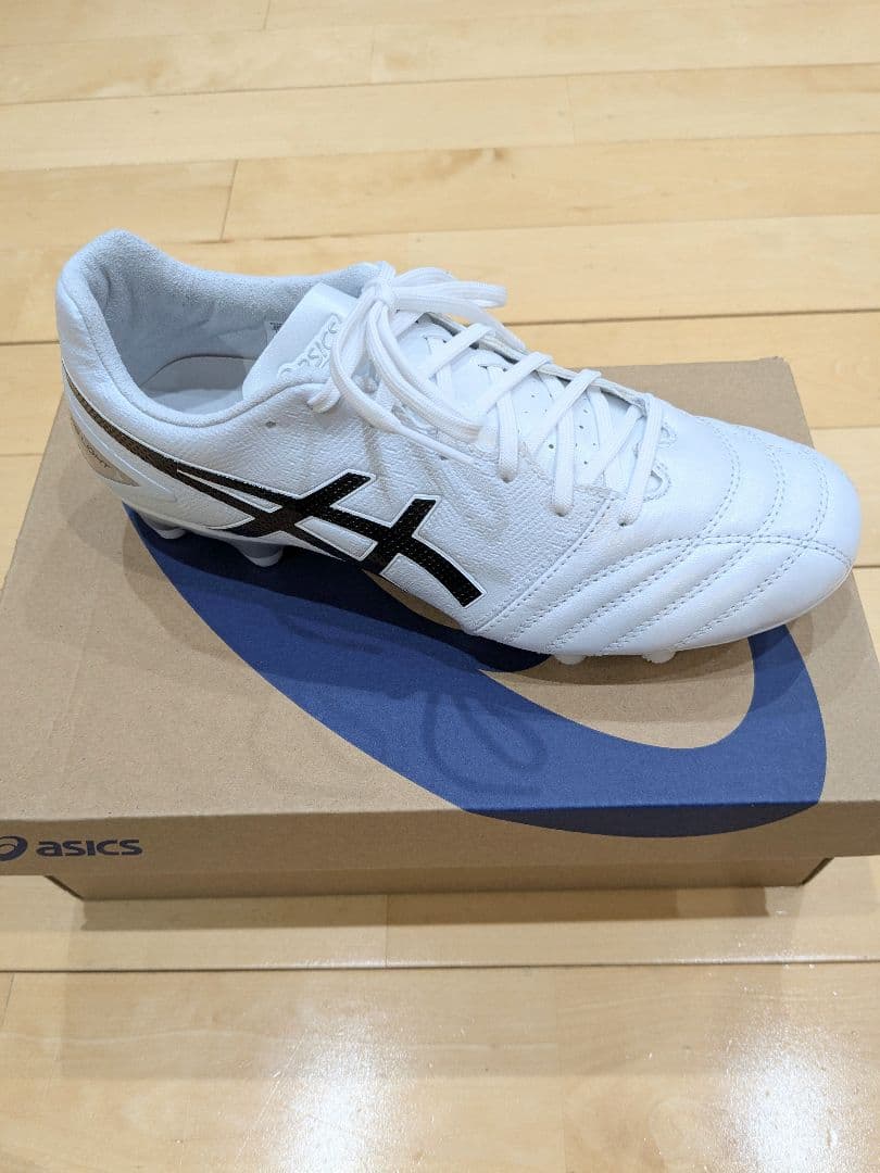 ASICS DS LIGHT PRO スタンダード 25.0cm 新品未使用