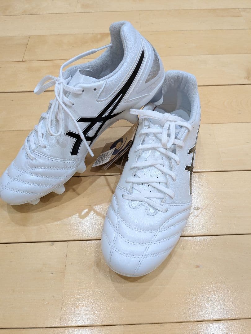 ASICS DS LIGHT PRO スタンダード 25.0cm 新品未使用