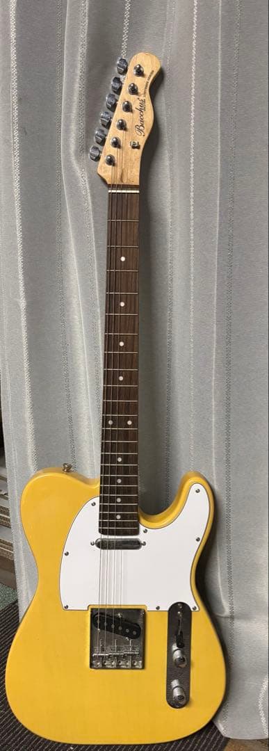 Bucchus universe series テレキャスター エレキギター