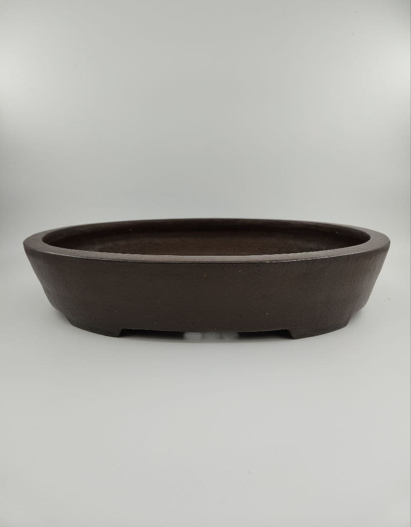 お正月セール 10日まで 盆栽鉢 常滑 中野行山 楕円形 大品盆栽鉢 落款有