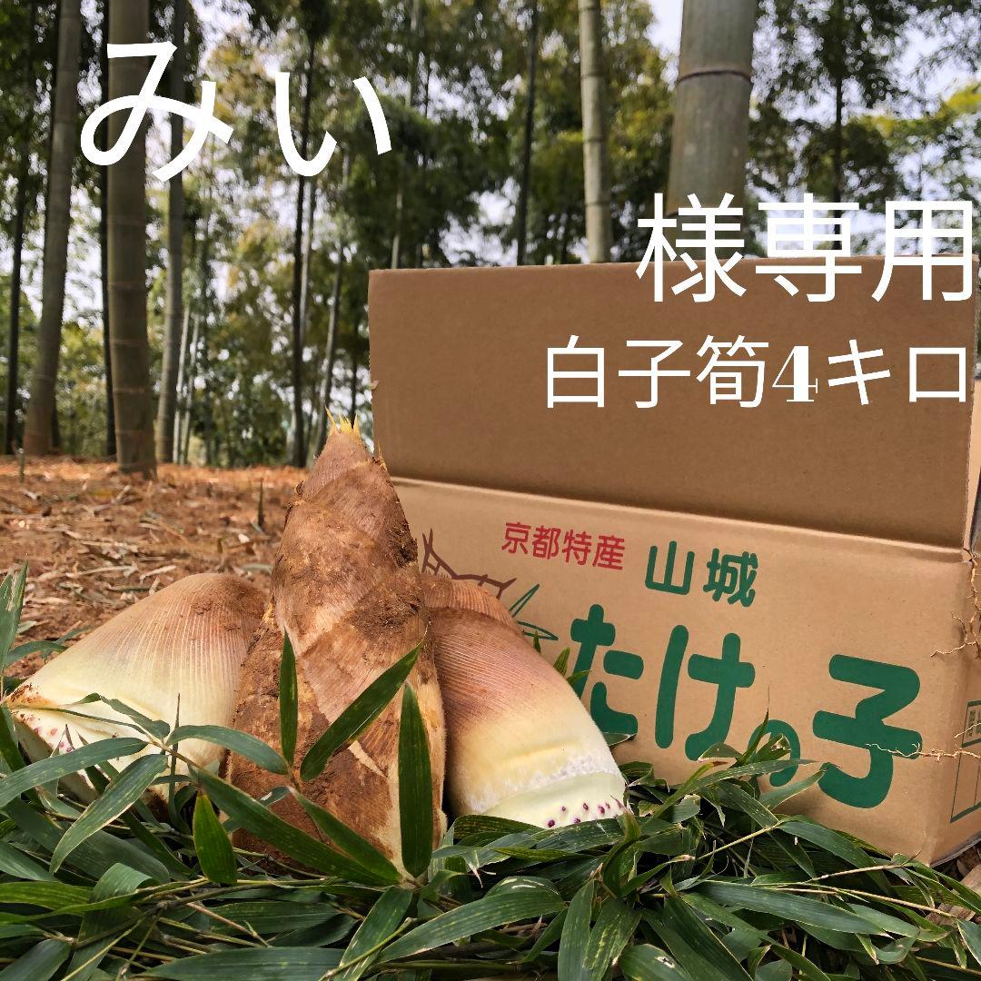 みい 白子筍 4キロ　クール便