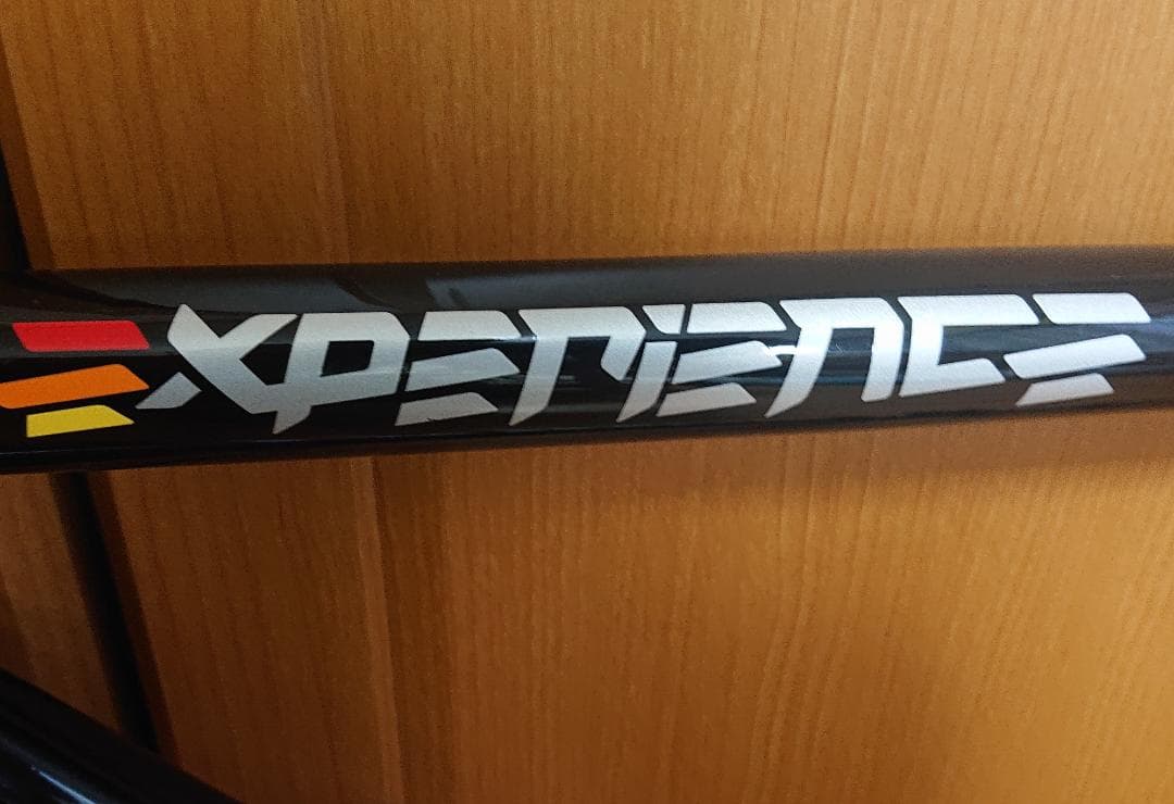 チネリ エクスペリエンス フレーム