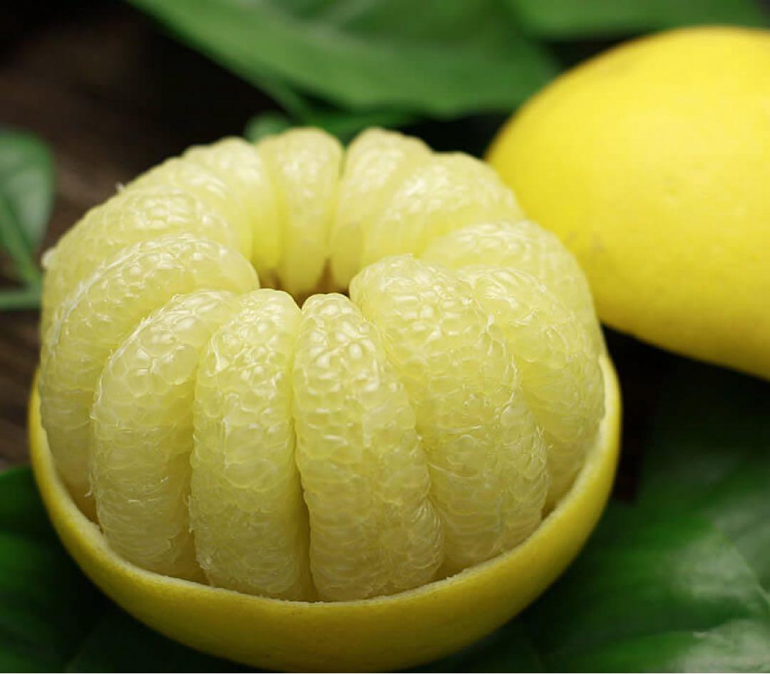 特大文旦　20キロ　5L〜4Lサイズ