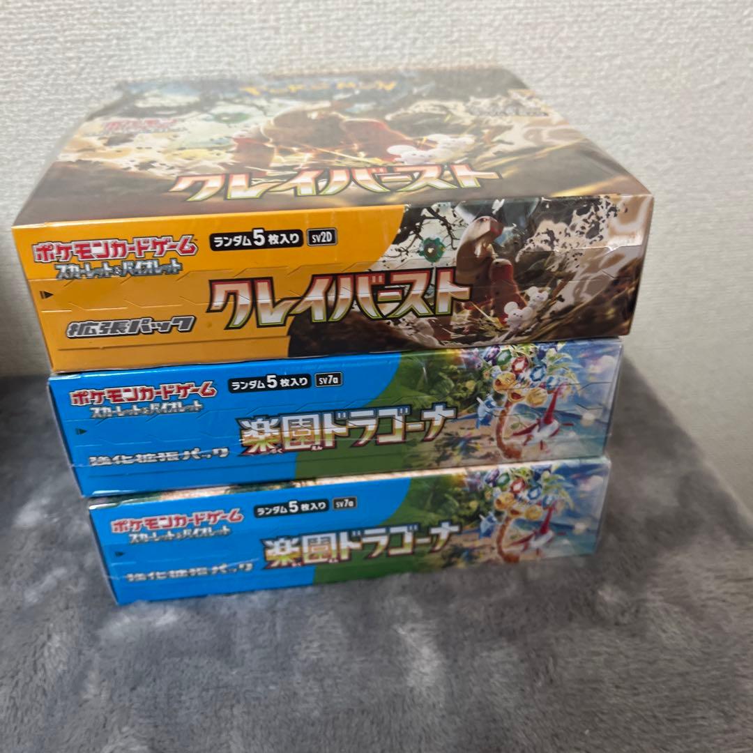 ポケモンカードゲーム クレイバスト・楽風ドラゴンセット