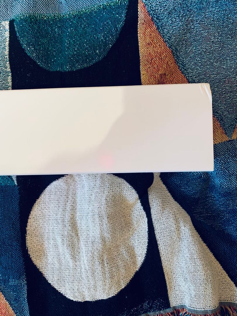 【美品】井田幸昌 ポスター チャイニーズマフィア 箱付き　現代アート