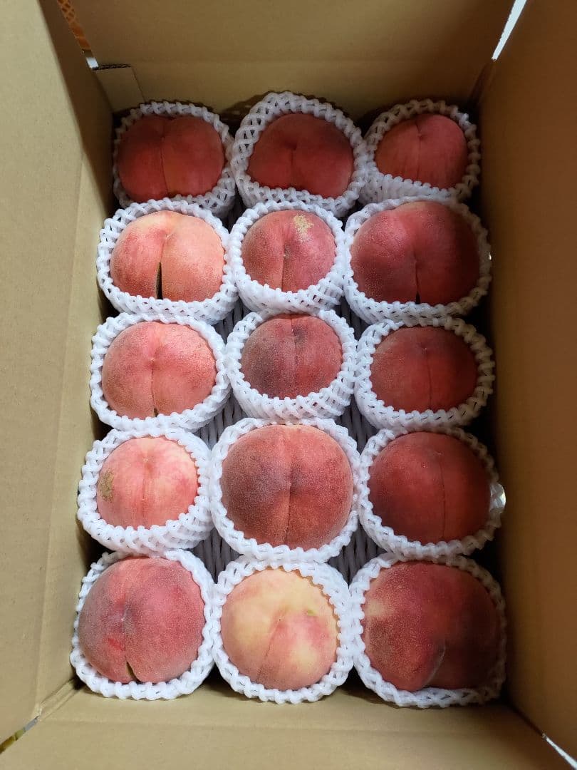 ☆さん専用　特大　桃　さくら白桃　わけあり　10kg