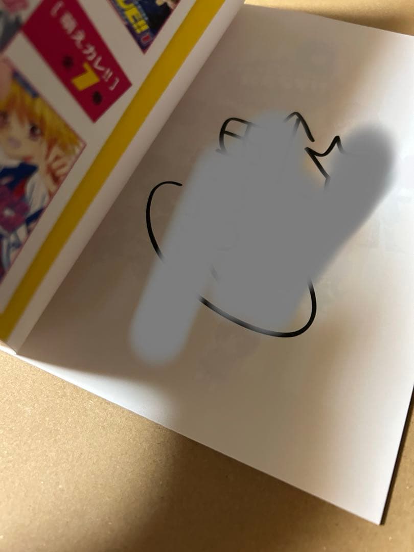 池山田剛先生　イラスト集4冊