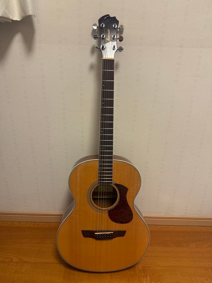 James ギター アコギ J-300A NAT