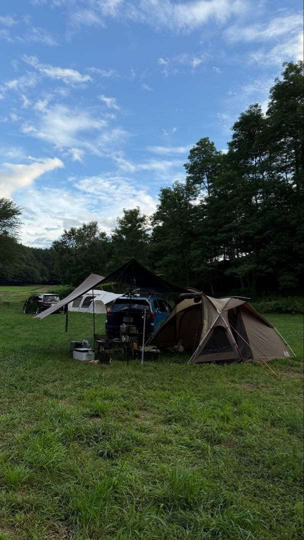 Ogawa Vigas　ヴィガス　PVCマルチシート付き　おまけあり