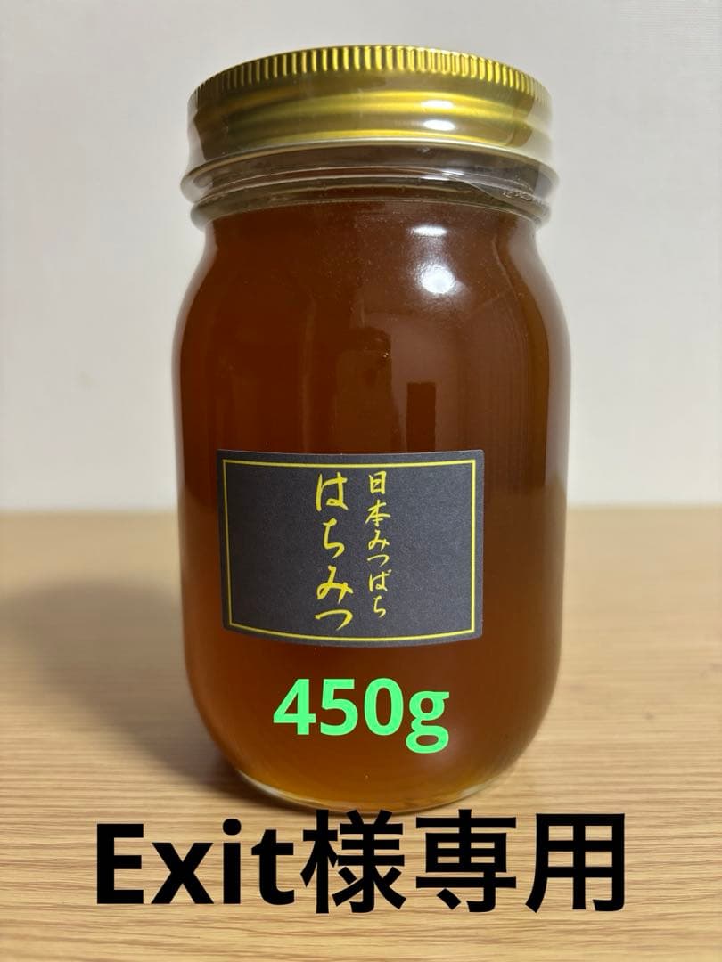日本蜜蜂はちみつ　宮崎県産　2025年10月採れたて　450g