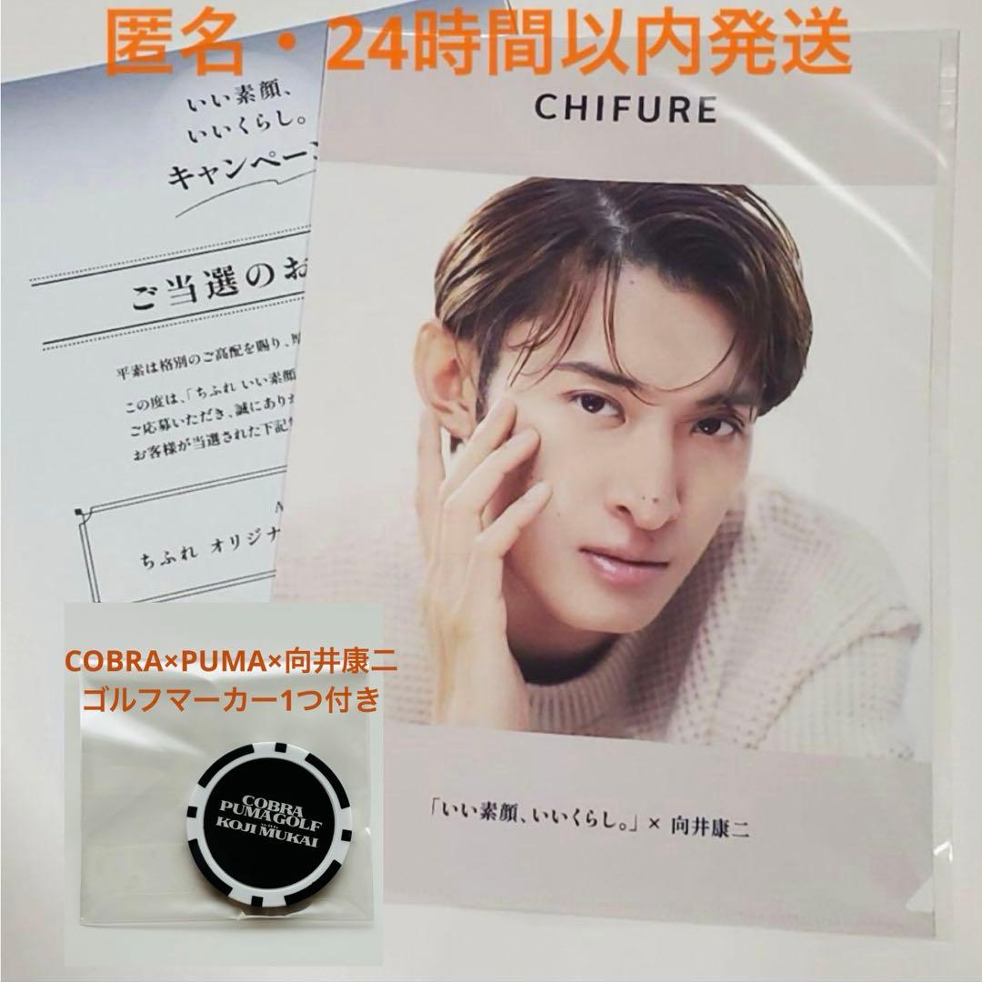 向井康二 クリアファイル 1枚 / ちふれ