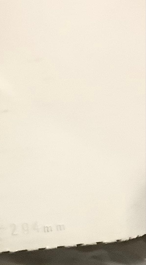 ATOMIC RT アトミック スキーブーツ STl 100 294 おまけ付き