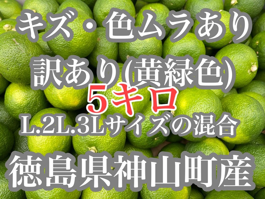 徳島県神山町産すだち《冷蔵貯蔵》5キロ　キズ・色ムラあり　黄緑色になります。①