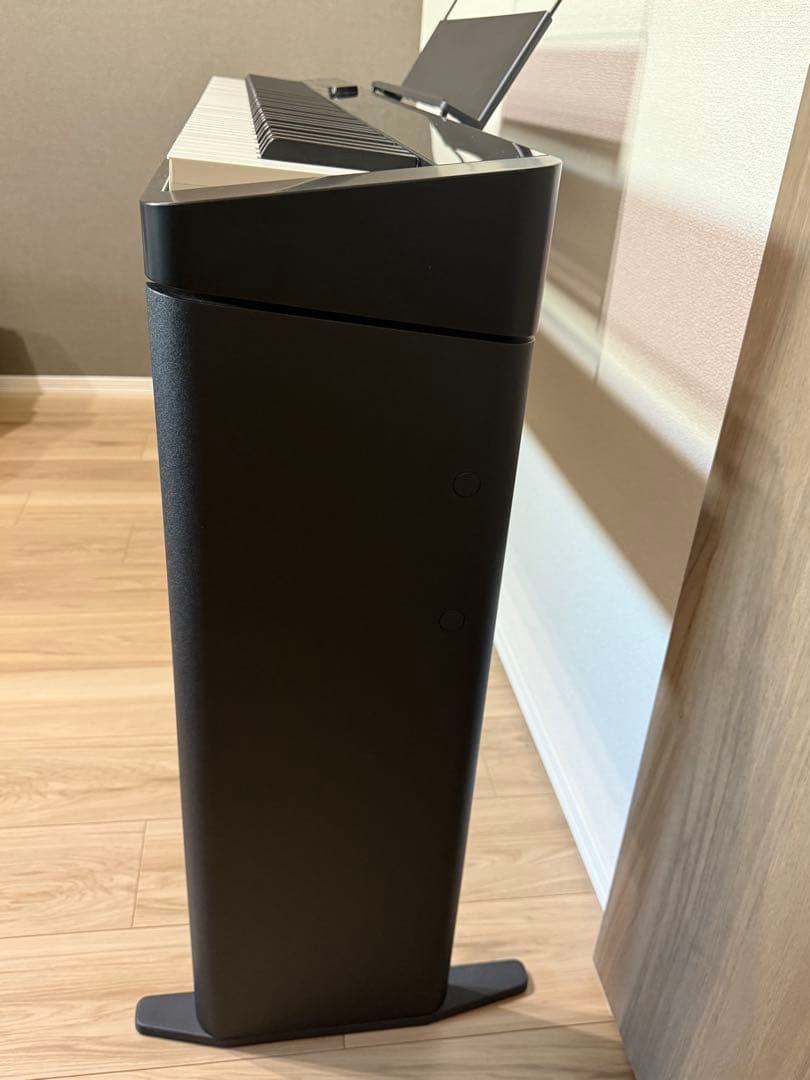 88鍵 スタンド付き電子ピアノ PX-S1000BK