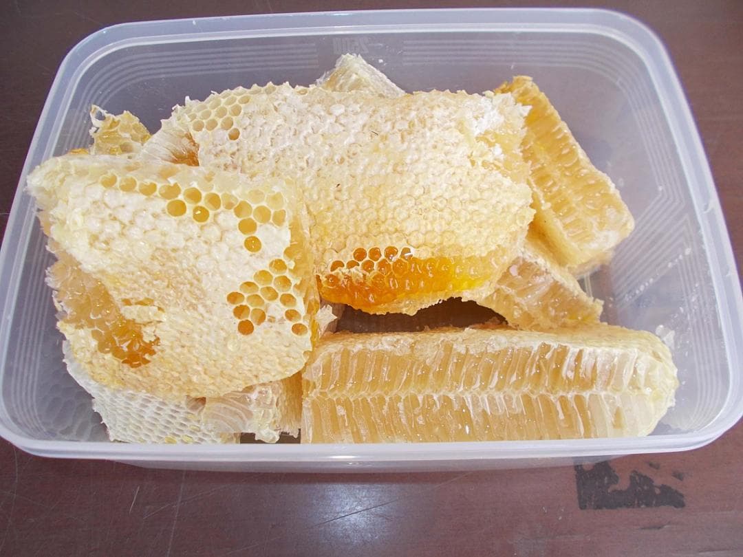 ★日本蜜蜂・非加熱・生ハチミツ・はちみつ・1Ｋ★