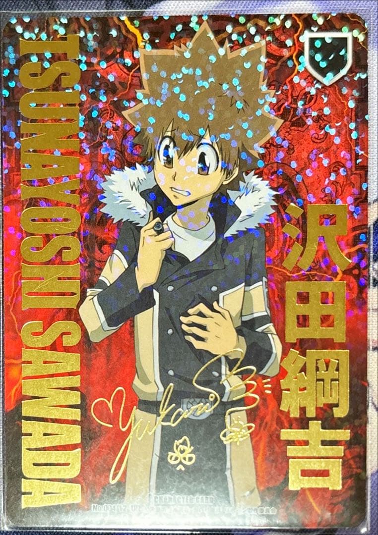 沢田綱吉 B12 ヴァリアー サインあり ツナ